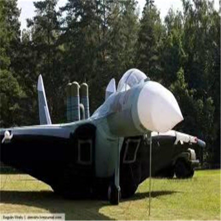 崖州充气模型飞机制造商家